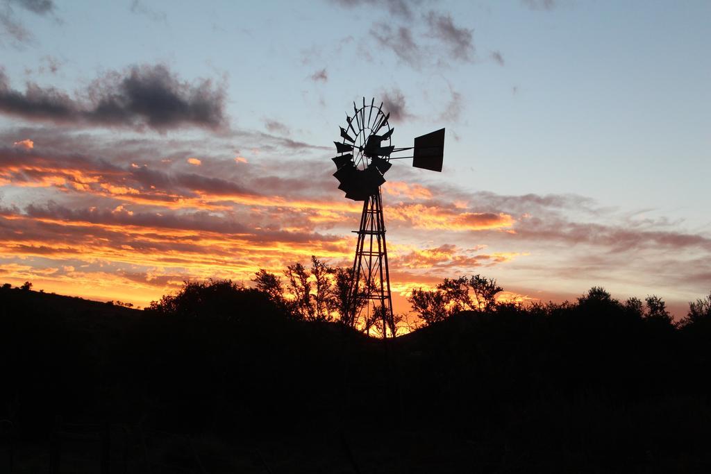 Denmark Farm Stay Cradock Pokoj fotografie